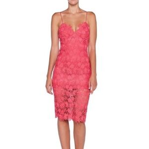 Bardot NWT  Tayla Lace Dress Sz S